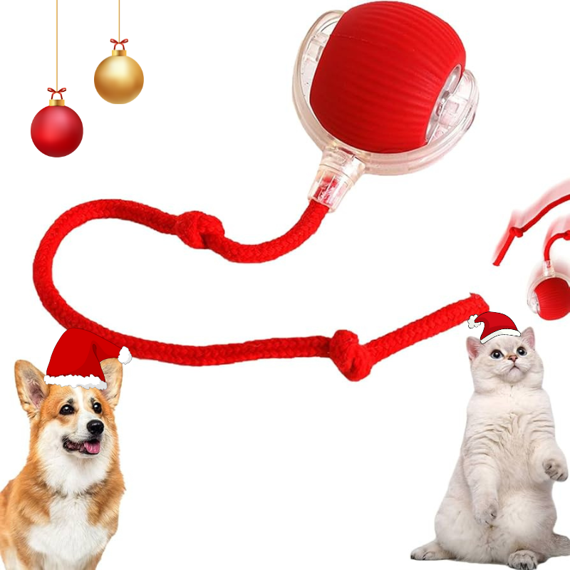 SmartPawz - Smart Interactive Play Ball for Pets