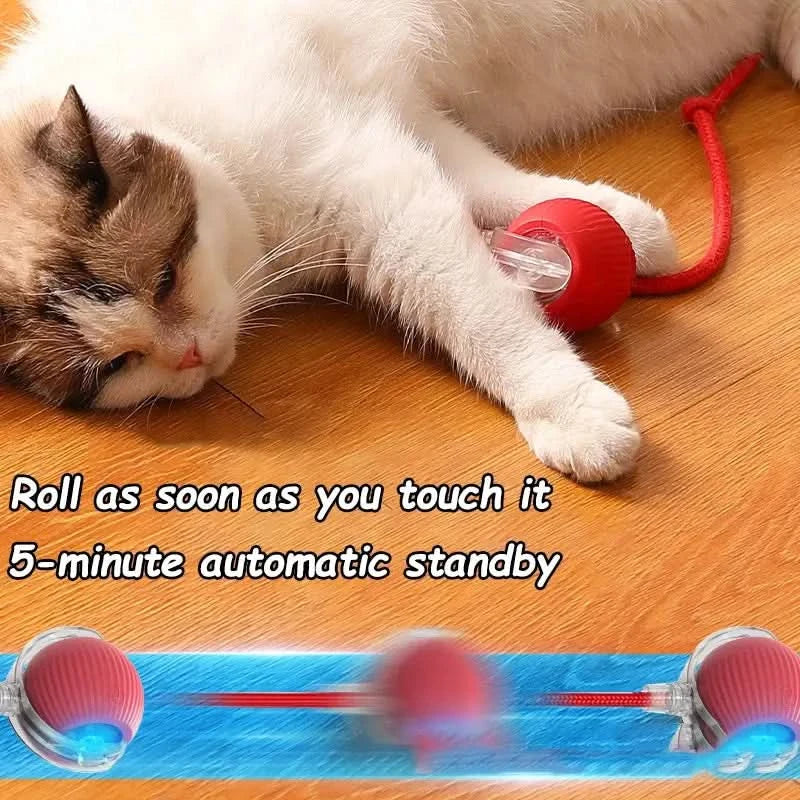 SmartPawz - Smart Interactive Play Ball for Pets interactive pet toy SmartPawz™